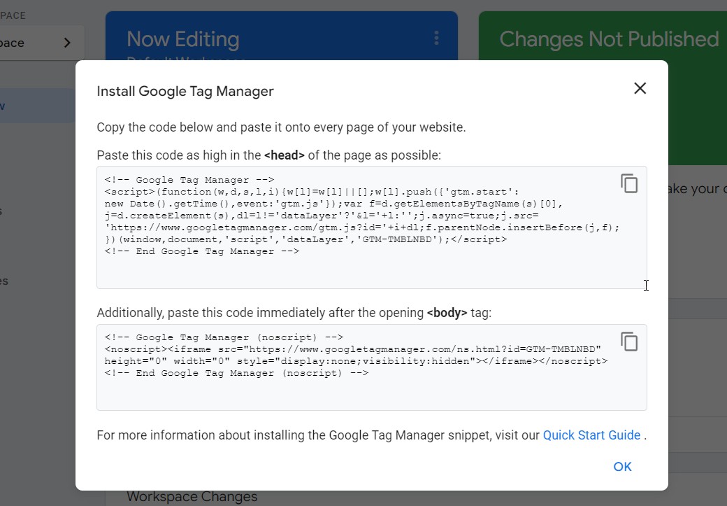 Google Tag Manager code.
